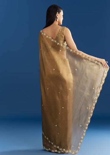 Copper Brown Organza Tissue Saree With Beaded Border