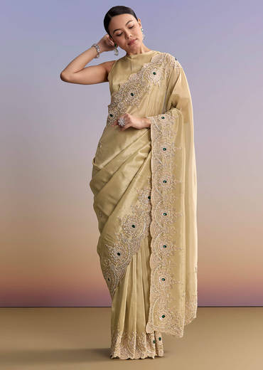 Gold Beige Tissue Saree With Heavy Embroidery
