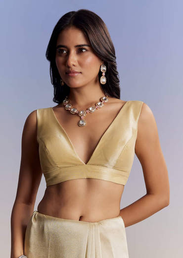 Gold Tissue Saree With Cut Dana Embroidery