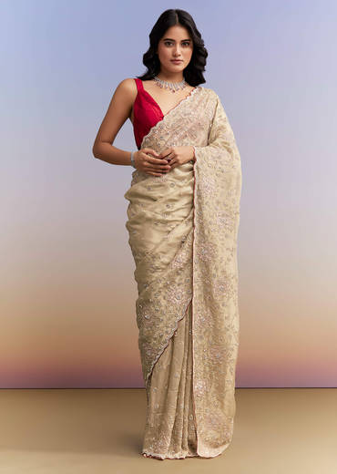 Gold Tissue Saree With Heavy Hand Embroidery