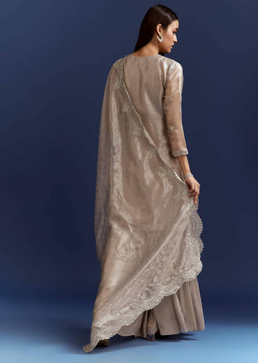 Grey Cutdana And Sequins Kurta With Stone Work Dupatta In Tissue