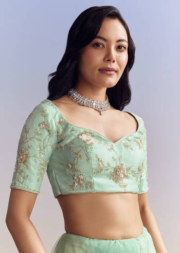 Mint Green Net Saree With Heavily Embroidered Border