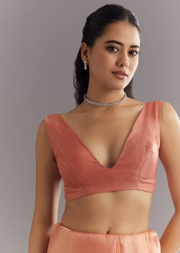 Peach Glass Tissue Saree With Cutdana Sequins Embroidery And Cutwork Scallop Border