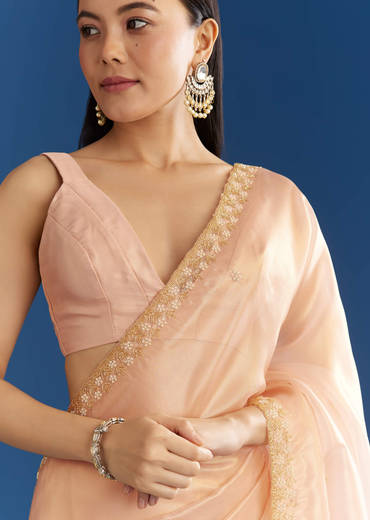 Peach Organza Tissue Saree With Scalloped Embroidery