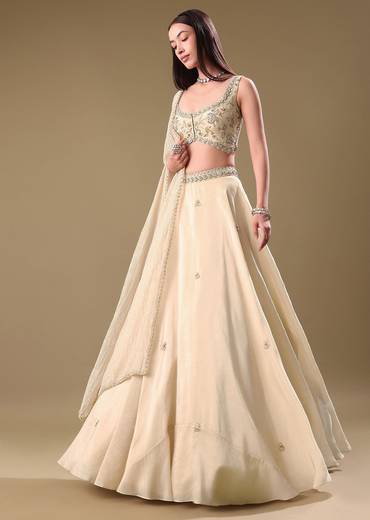 Gold Tissue Lehenga With Hand Embroidered Blouse Set