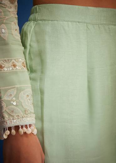 Pista Green Organza Embroidered Straight Kurta Set