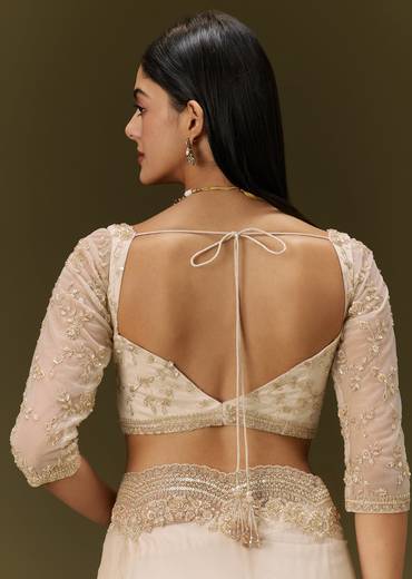 Beige Net Saree With Heavy All Over Embroidery