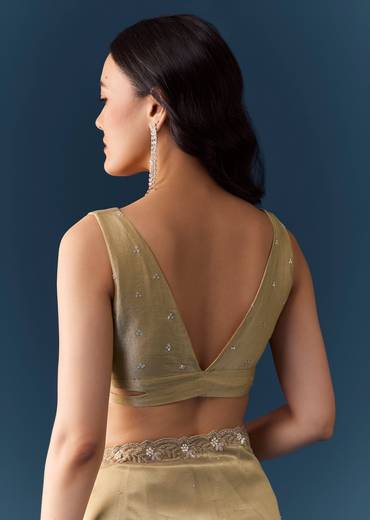 Beige Tissue Embellished Saree with Unstitched Blouse