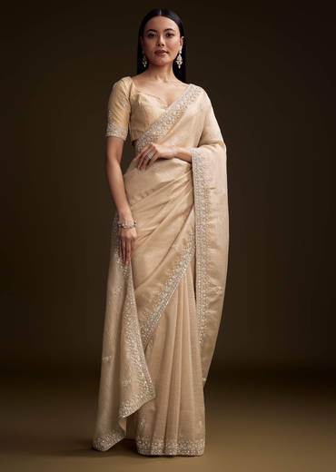 Silver Tissue Saree With Sequin And Stone Embroidery