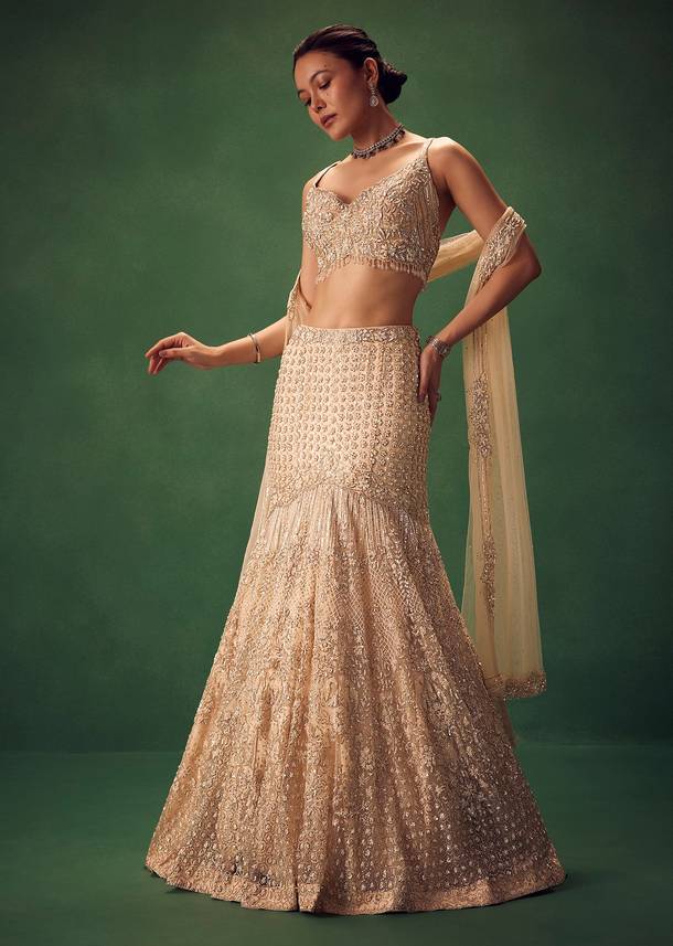 Blush Pink Fish Cut Sequin Lehenga Set