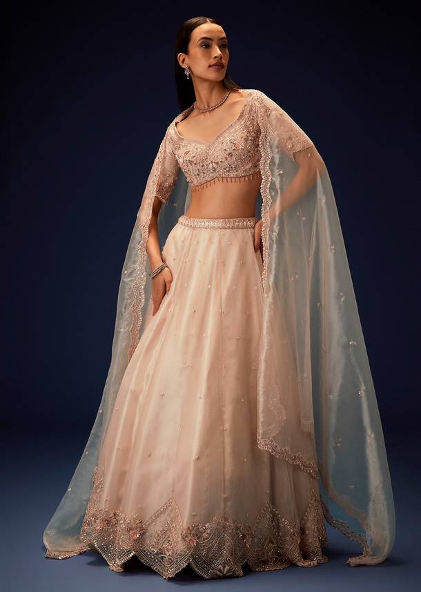 Pink Organza 8 Kali Lehenga With Embroidered Blouse and Cutwork Dupatta