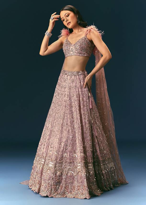 Onion Organza Lehenga And Blouse Set With Choker Dupatta