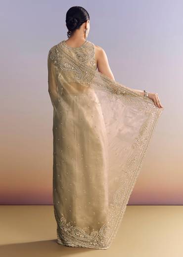 Beige Crush Tissue Saree With Multitech Embroidery