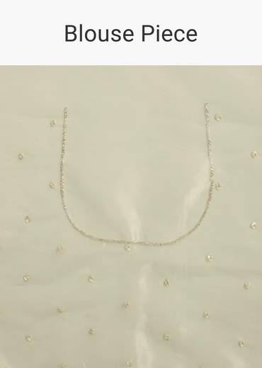 Apple Green Glass Tissue Saree With Cutdana Embroidery