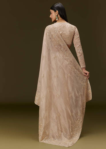 Beige Ivory Tissue Saree With Velvet Embroidered Blouse