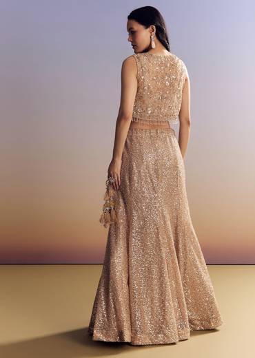 Beige Lehenga Set With Jacket And Cut Dana Embroidery