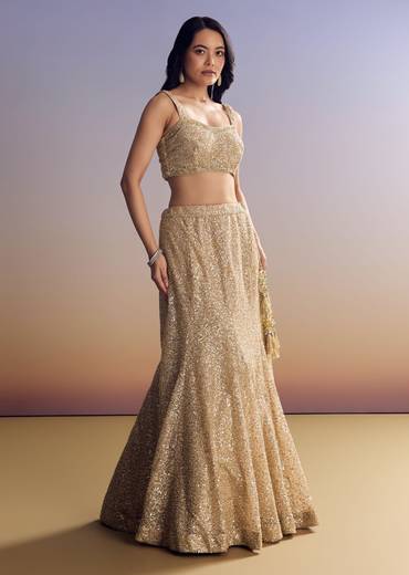 Beige Lehenga Set With Jacket And Cut Dana Embroidery