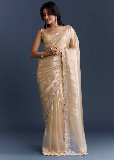 Beige Net Saree With Heavy Hand Embroidery