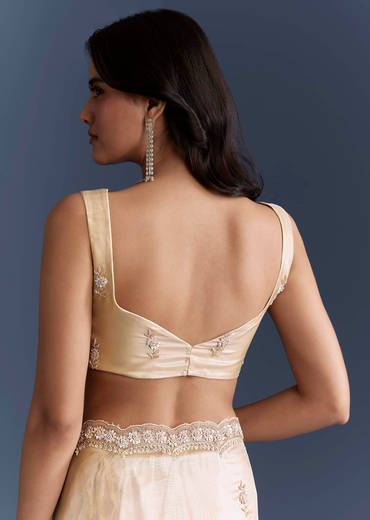 Beige Net Saree With Heavy Hand Embroidery