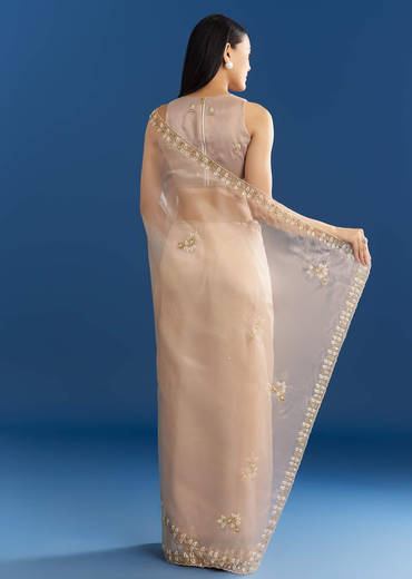Beige Organza Tissue Saree With Cutdana Detailing