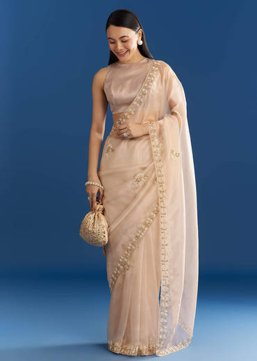 Beige Organza Tissue Saree With Cutdana Detailing