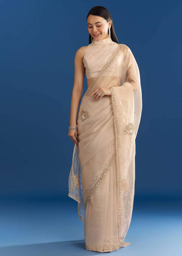 Beige Organza Tissue Saree With Delicate Embellished Edge