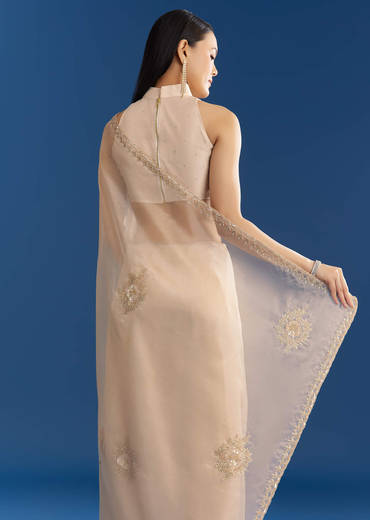 Beige Organza Tissue Saree With Delicate Embellished Edge