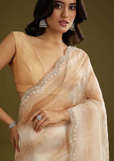 Beige Shaded Glass Tissue Saree With Stone Embellishment