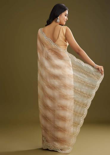 Beige Shaded Glass Tissue Saree With Stone Embellishment