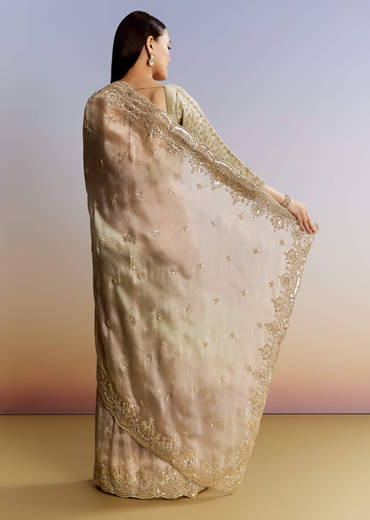 Beige Shaded Tissue Saree With Sequins Beads And Cutdana