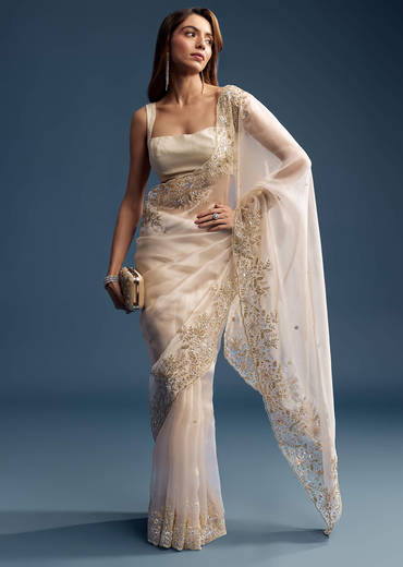 Beige Tissue Saree With Golden Floral Embroidery