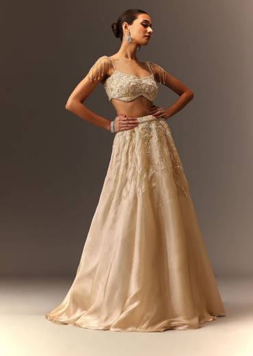 Beige Hand Embroidered Blouse With Skirt And Choker Dupatta