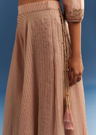 Blush Pink Chanderi Kurta Palazzo Set With Organza Dupatta