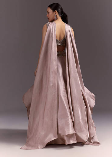 Brown Organza Lehenga With Sweetheart Neck Blouse And Choker Dupatta