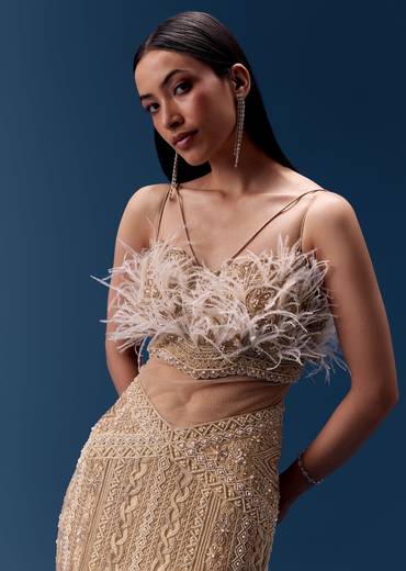 Gold Hand Embroidered Feather Detail Gown