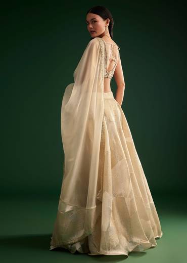 Gold Ivory Sequin Stone Work Choli Lehenga