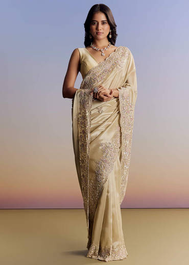 Gold Tissue Saree With Cut Dana Embroidery