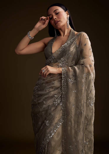 Grey Tissue Saree With Floral Jaal And Sequin Embroidery