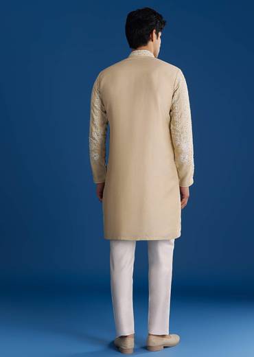 Light Beige Silk Embroidered Kurta Set