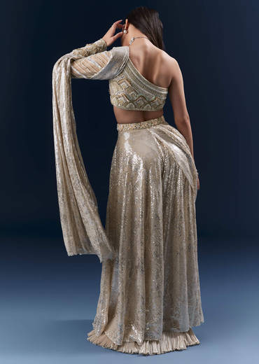 Mauve Imported Sequins Crop Top And Palazzo Pants With Attached Dupatta