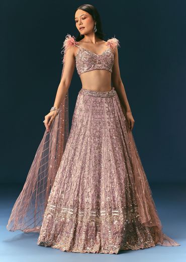 Onion Organza Lehenga And Blouse Set With Choker Dupatta