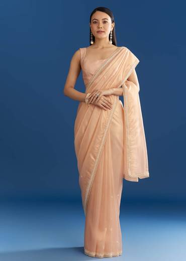 Peach Organza Tissue Saree With Beaded Border