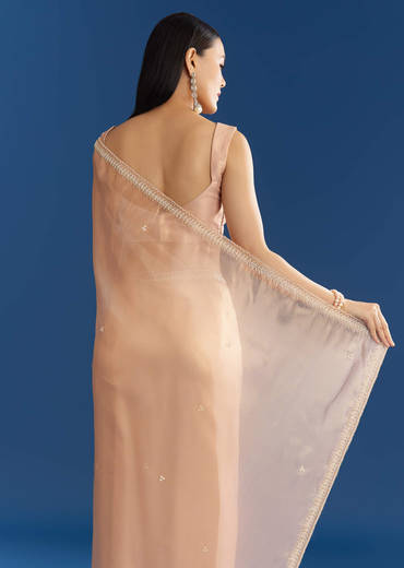 Peach Organza Tissue Saree With Beaded Border