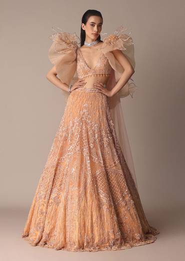 Peach Zardosi Lehenga With Dramatic Net Sleeves Blouse