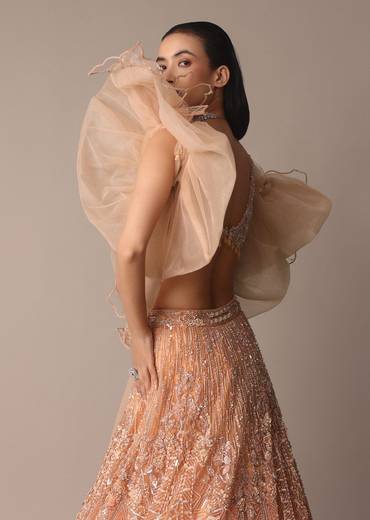 Peach Zardosi Lehenga With Dramatic Net Sleeves Blouse