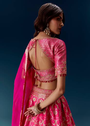 Pink Kalli Embroidered Bridal Lehenga And Dupatta