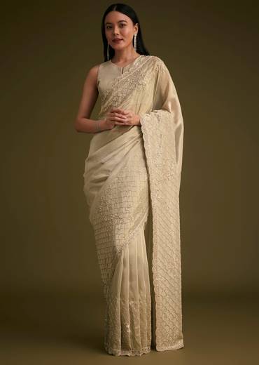 Silver Beige Tissue Sequins Saree With Cutdana Detailing
