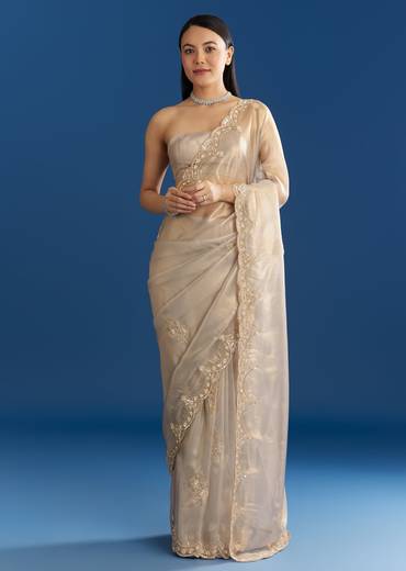 Silver Organza Tissue Saree With Sparkling Border
