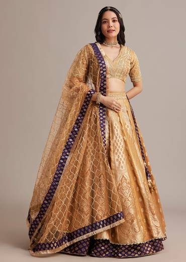 Light Brown Banarasi Silk Lehenga Set With Zardosi Work