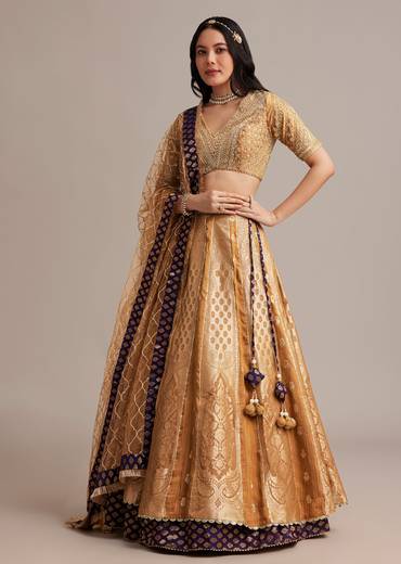 Light Brown Banarasi Silk Lehenga Set With Zardosi Work